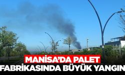 Manisa'da büyük yangın: Çok sayıda ekip sevk edildi