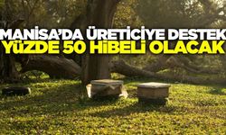 Manisa'da üreticilere yüzde 50 hibeli destek