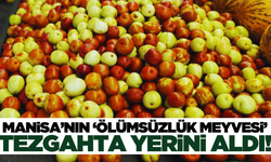 Manisa'nın gözde meyvesi Hisarcık tezgahında yerini aldı!