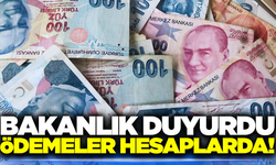 4,6 milyar liralık destek ödemeleri hesaplara yatırıldı!