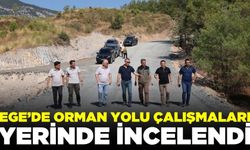 Mustafa Ülküdür, çalışmaları yerinde incelendi