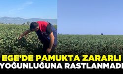 Ege'de tarlalarda kontroller gerçekleştirildi!