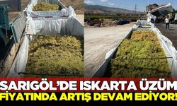 Iskarta üzüm fiyatlarında artış devam ediyor