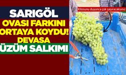 Sarıgöl'de dev üzüm salkımı: Görenler hayrete düştü