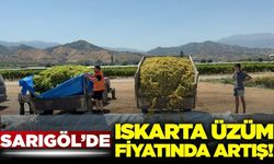 Sarıgöl'de ıskarta üzüm fiyatında artış!