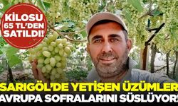 Sarıgöllü üreticiden örnek bağ: " Üzüm salkımlarım doğrudan kasalara giriyor"