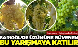 Sarıgöl'de en iyi üzümü kim yetiştiriyor?