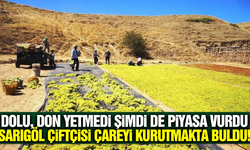 Sarıgöl'de yaş üzüm piyasası duruldu: Üreticiler çareyi kurutmalıkta buldu