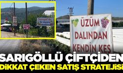 Sarıgöl'de yeni satış yöntemi: Dalından kendin topla