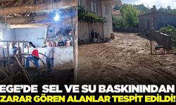 Ege'de sel baskınından zarar gören tarım alanları tespit edildi