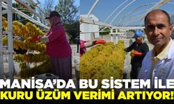 Manisa'da üzüm üreticilerin yükünü hafifletecek teknik!