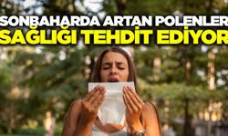 Sonbahar geldi! Polen yoğunluğu sağlığınızı tehdit ediyor