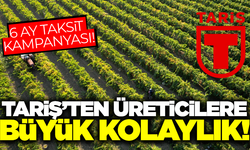 TARİŞ Üzüm Birliği'nden üreticilere büyük destek!