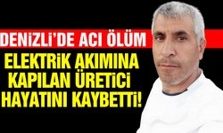 Tarlasını domuzlardan korumak isterken canından oldu!