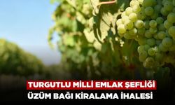Turgutlu Milli Emlak Şefliği 16.628,65 m² Üzüm Bağını Kiralayacak