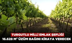 Turgutlu Milli Emlak Şefliği 16.628 m² Tarımsal Alanı Kiraya Verecek
