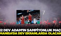 Türkiye'nin Avrupa şampiyonluğu maçı Manisa'da dev ekranlarda olacak