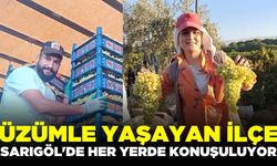 Evde kahvede bağda misafirlikte... Sarıgöl'de tek konu: Üzüm!