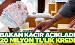 20 milyon liraya kadar finansman desteği