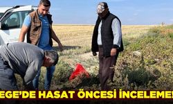 Ege'de ekipler hasat öncesi kontrol gerçekleştirdi!