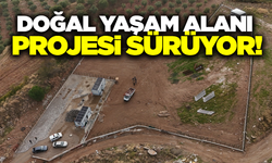 Ahmetli'de Sokak Hayvanları Doğal Yaşam Alanı Projesi Hız Kesmiyor