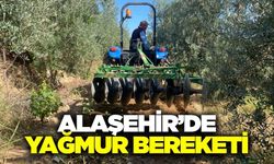 Alaşehir'de çiftçilerin yağmur sevinci