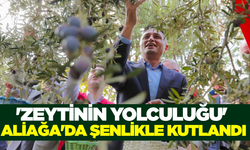 Aliağa 4. zeytin hasat şenliği yapıldı!