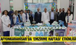 Anne sütü ve normal doğumun önemi Afyonkarahisar'da anlatıldı