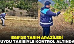 Ege'de arazilerde kontroller gerçekleştirildi
