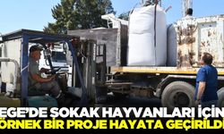 Ege'de sokak hayvanları için örnek çalışma
