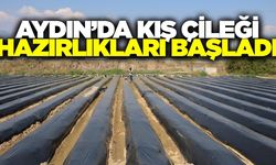 Aydın'da çilek fideleri toprakla buluşuyor
