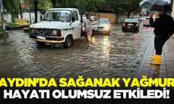 Ege'de yollar adeta dereye döndü!