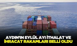 Aydın’da bir ayda 103 milyon dolar ihracat