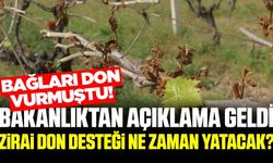 Üzümcülerin gözü hesaplarda! Zirai don desteği ne zaman yatacak?
