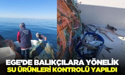 Ege'de su ürünlerine denetim gerçekleştirildi!