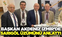 Başkan Akdeniz: “Sarıgöl, Sultani Üzümün Başkentidir”