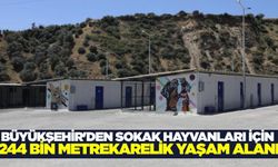 Başkan Çerçioğlu: "Aydın can dostlarıyla birlikte daha güzel"