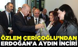 Özlem Çerçioğlu'ndan Erdoğan’a jest!