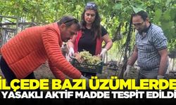 İlçede üzümlerde yasaklı aktif madde tespit edildi
