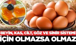 Hem sağlıklı hem besleyici