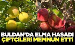 Buldan elmasında verim ve kalite yüz güldürüyor
