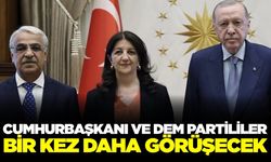 Cumhurbaşkanı Erdoğan ve Dem Parti heyeti bir kez daha görüşecek