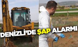 Denizli'de şap hastalığına karşı yoğun mücadele