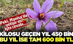 Dünyanın en pahalısı! Kilosu 600 bin TL