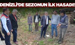 Denizli'de sezonun ilk hasadı yapıldı!
