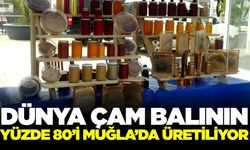 Ege şehri çam balında dünya birincisi