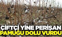 Ege'de dolu zararı! Bu kez pamuğu vurdu