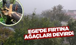 Fırtına ve sağanak hayatı olumsuz etkiledi
