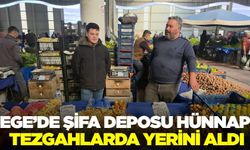 Ege'de hünnap'a yoğun ilgi!