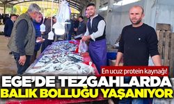 Ege'de balık bollaşınca fiyatlar aşağıya geldi
